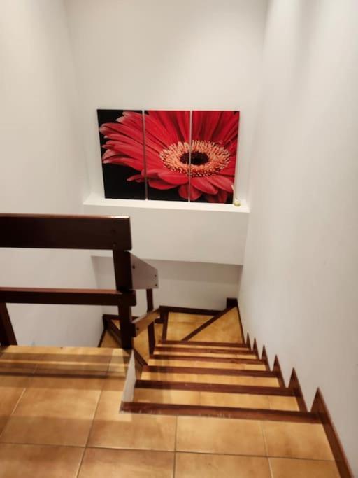 Apartamento Duplex Rua Sol - Netflix Laxe Exterior foto